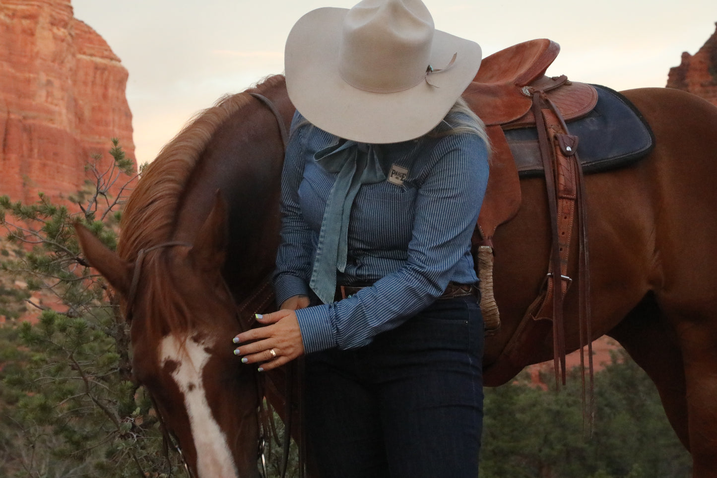 Cheyenne Denim Pinstripe