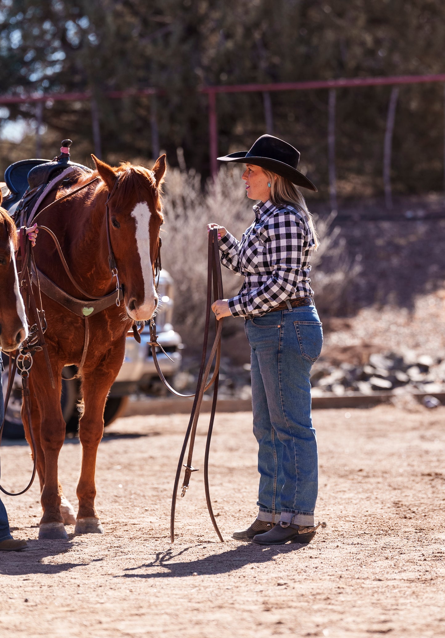 Cheyenne Black & White Gingham Shirt